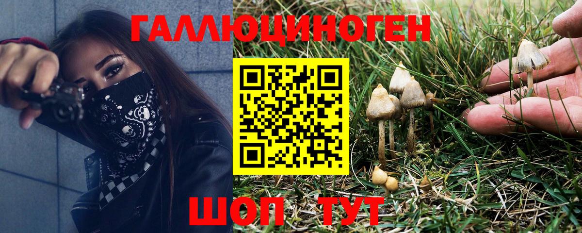 Псилоцибиновые грибы мухоморы  Псилоцибиновые грибы MAGIC MUSHROOMS  Кириши  Вход с VPN 